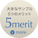 大きなサンプル5つのメリット